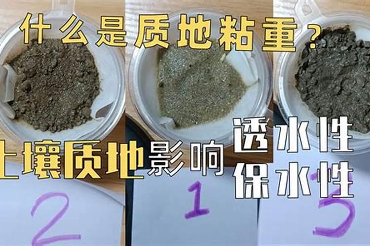 氮肥过量如何解决