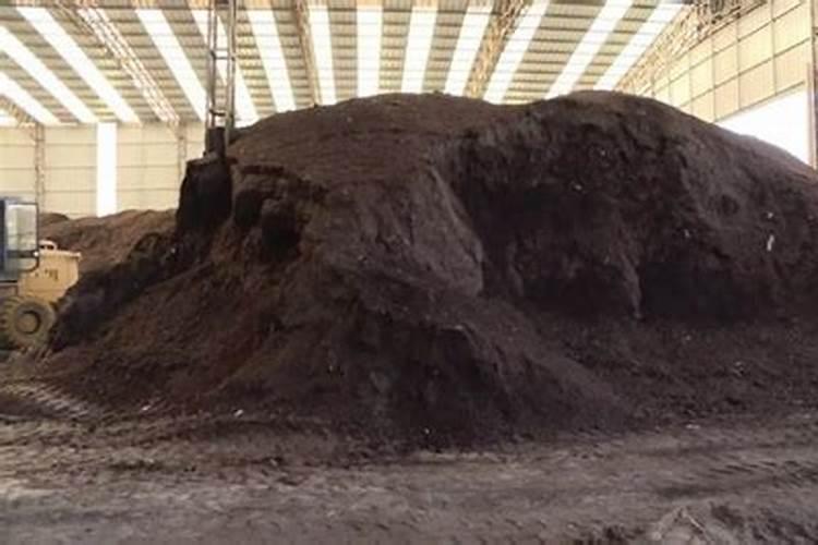 红薯叶面肥用芸乐收可以吗