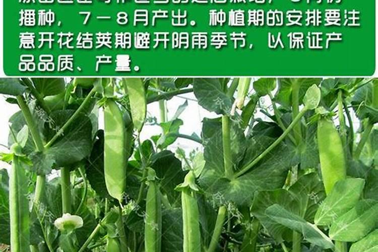 高压罐怎么安装