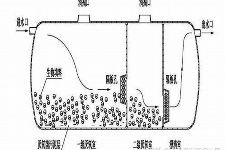 化粪池的粪水能直接当肥料吗