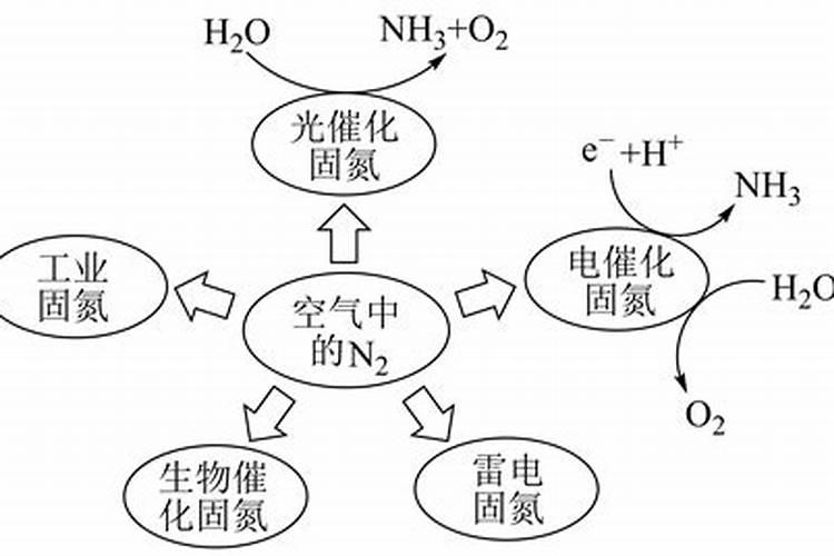 氮肥损失途径有哪些？