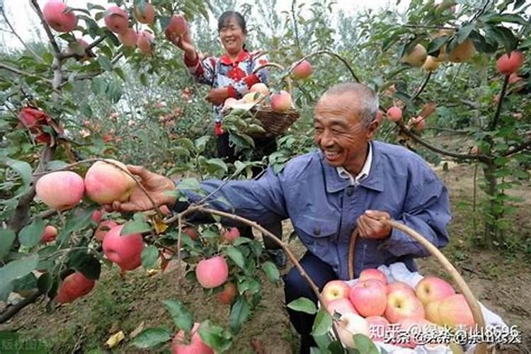 铁剂可以跟钙一起吃吗