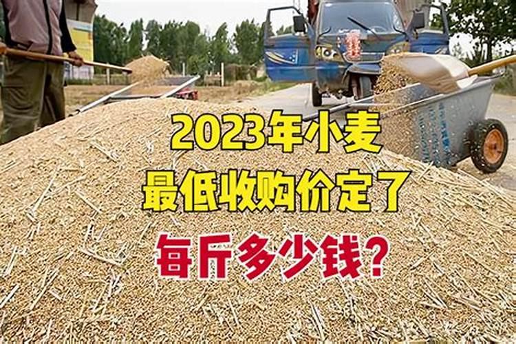 种小麦怎么施肥