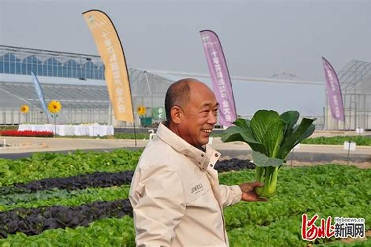 买复合肥选哪个大厂家的质量好