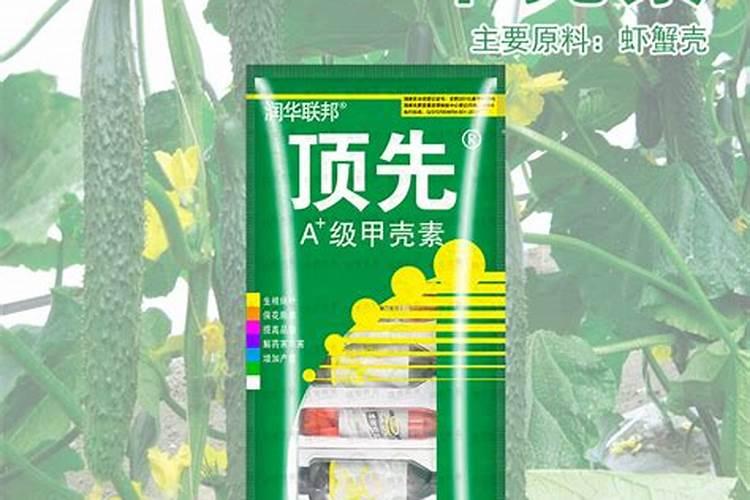 甲壳素水溶肥的功效与作用