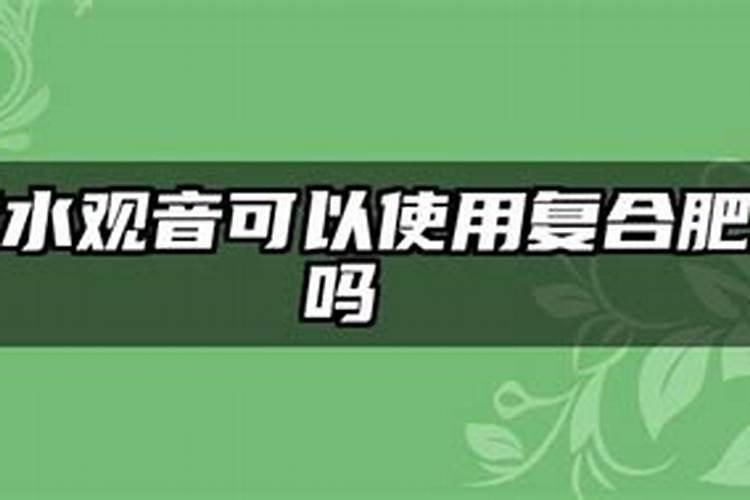 铁树叶子发黄枯萎解决方法