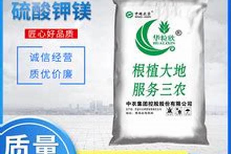 硫酸钾镁肥作用和使用方法