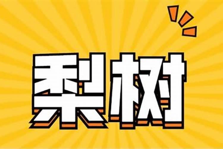 梨树什么时候施肥料最好