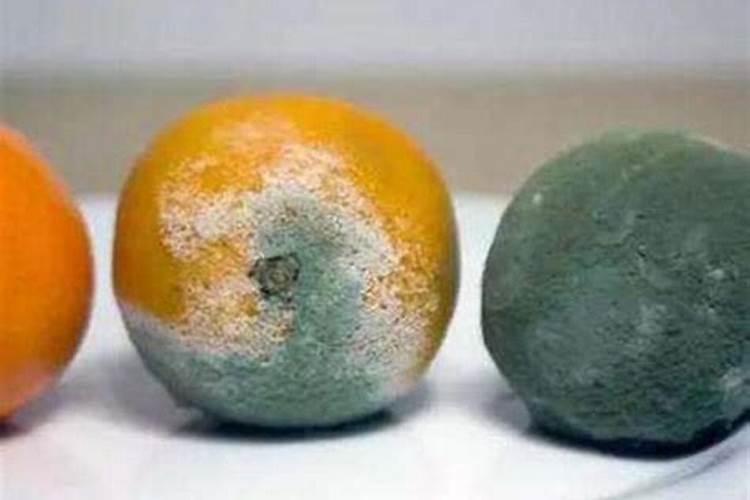 烂掉的橘子“一定”不要扔,保存在家里这样用挺值钱的,特别实用