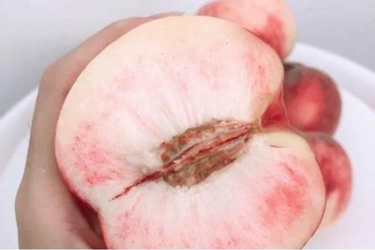 肥城桃采摘园地址园最好