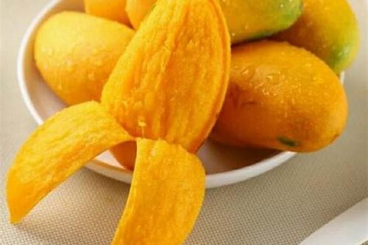 芒果施肥用什么肥料好呢