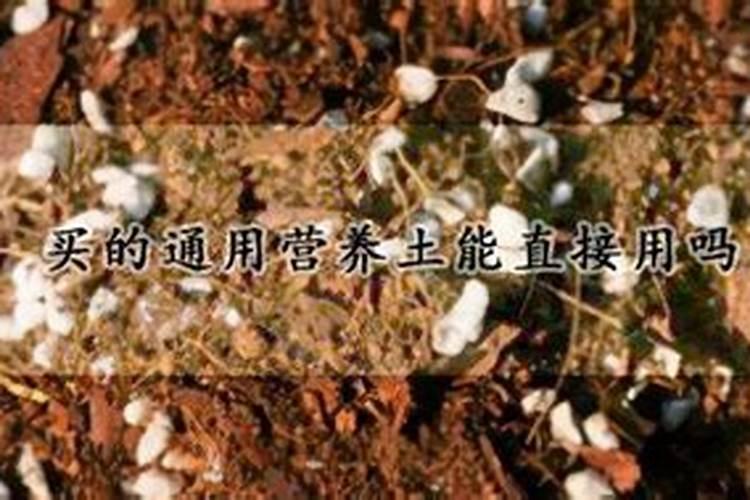 养花的营养土能不能拿来种菜