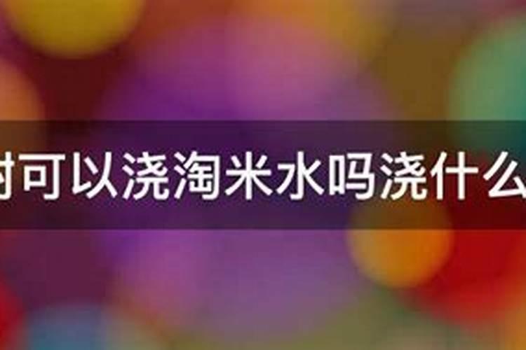 这花不休眠,多浇水、勤施肥,天天都长个儿!