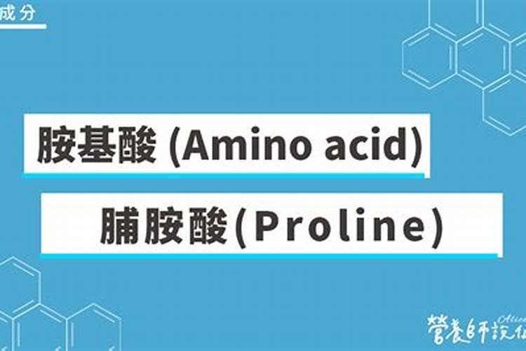 鱼胶原蛋白有什么功效？