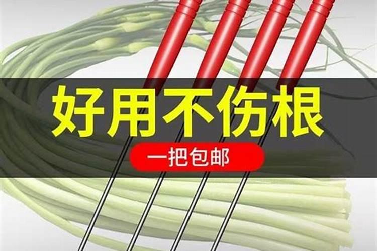 大蒜用药,用叶面肥过l多,蒜苗叶子发干不长,可以打芸苔素解吗