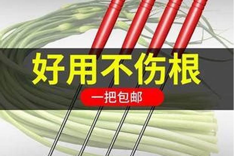 蒜苗叶子发黄打什么药