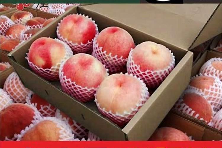 桃树膨大肥什么时候施 桃树施肥的时间