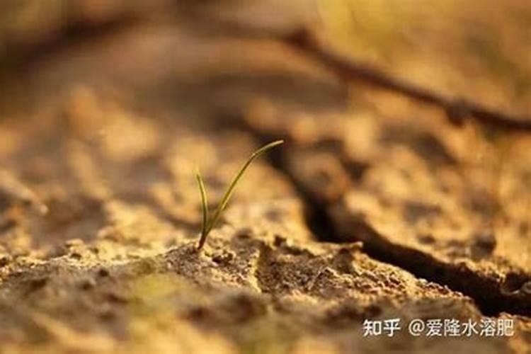 波尔多液的配制方法