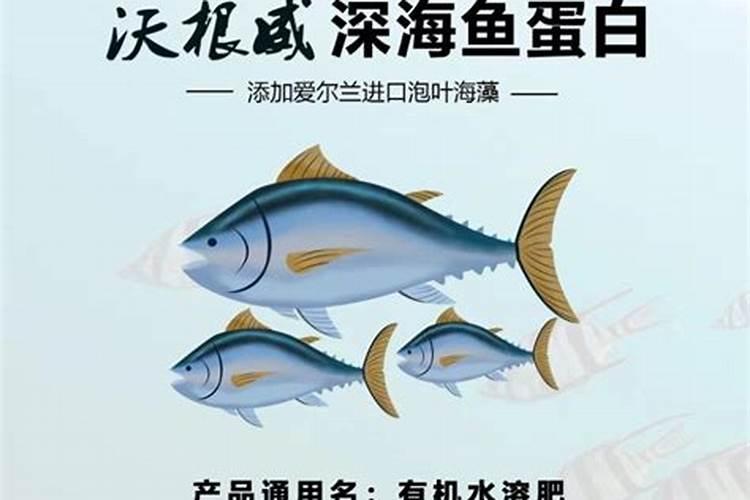 鱼蛋白水溶肥现在怎么用
