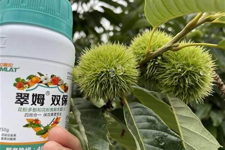 如何给板栗喷施叶面肥？ 杀螨剂三氯杀螨醇简述