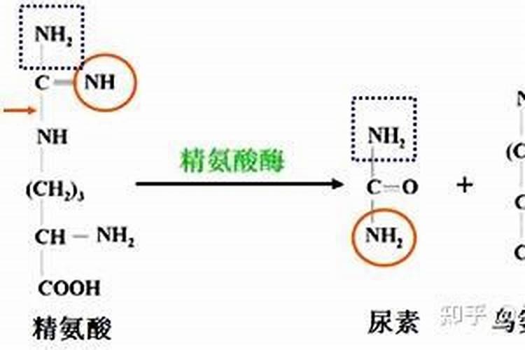 小麦追施尿素后,不要马上浇水,这是为什么呢？