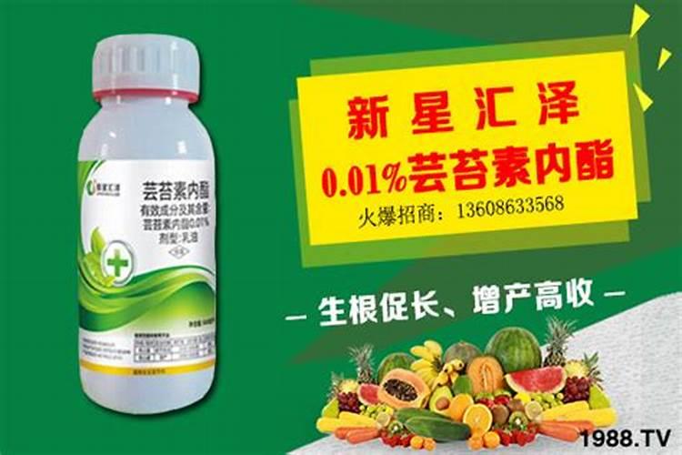 14羟基芸苔素内脂浇花最多比例？