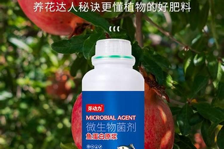 柑橘着色喷鱼蛋白会污染吗