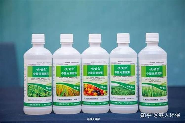 绿萝最好的肥料是啥