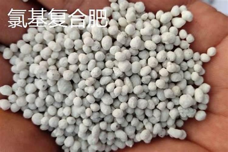 水溶肥含氯吗