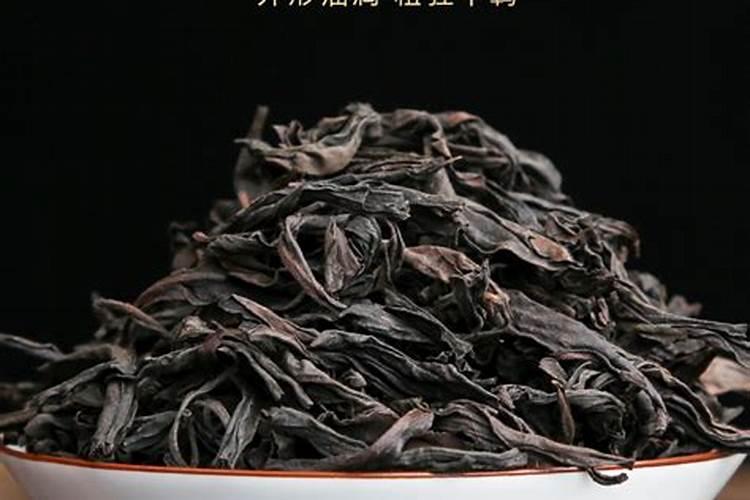 树木防冻水什么时间浇