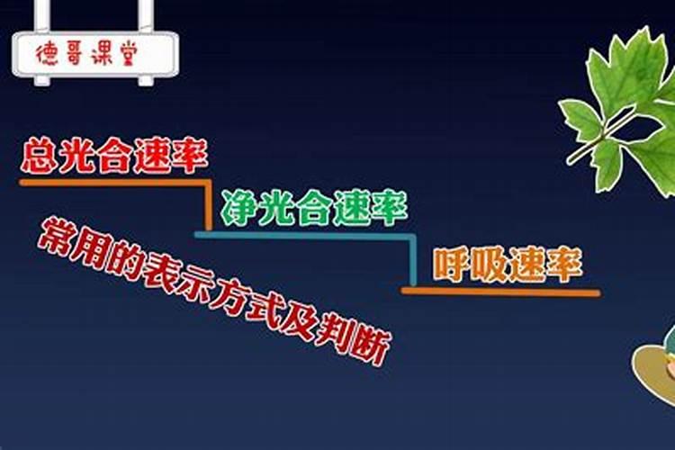 磷肥对植物光合作用的影响
