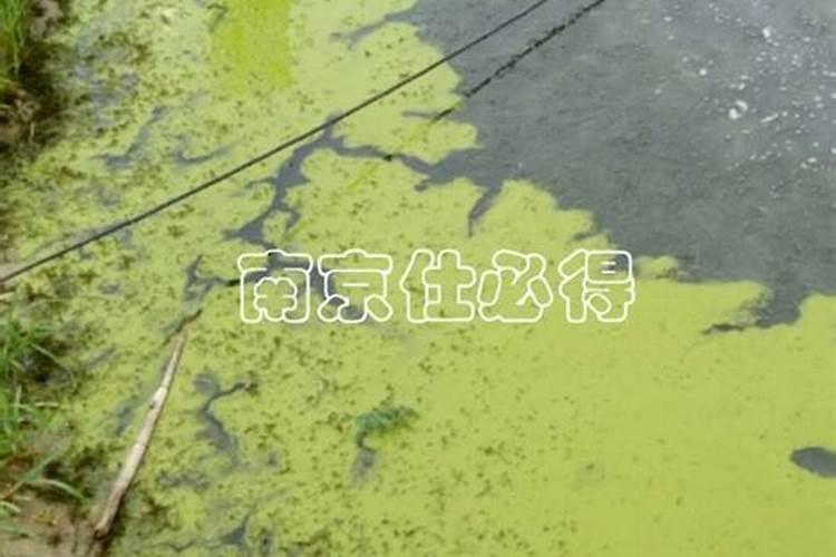 怎样根据甘蔗需肥特点进行施肥？