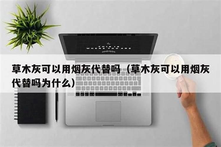 什么东西能给花当肥料;养花没有肥料,用什么代替