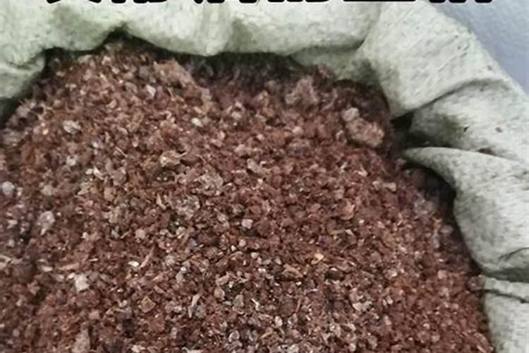 米兰有花苞能喷磷酸二氢钾吗