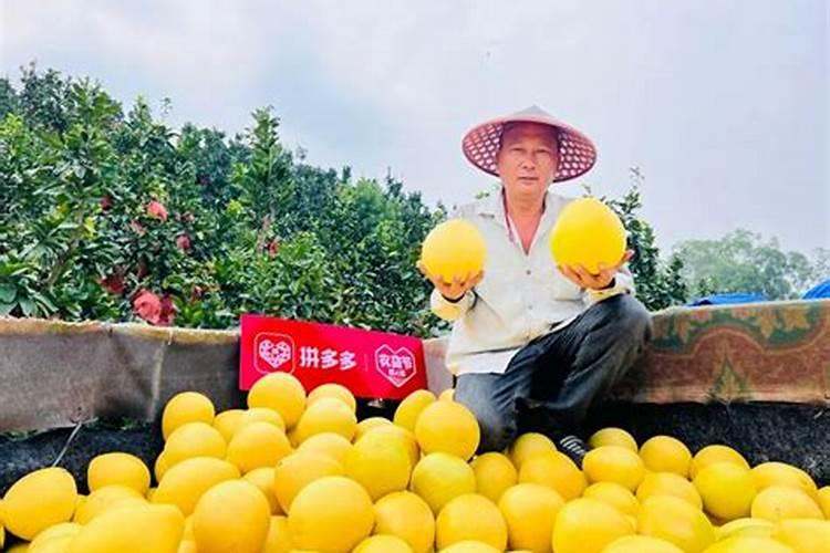 种植柚子树常用的肥料有哪些