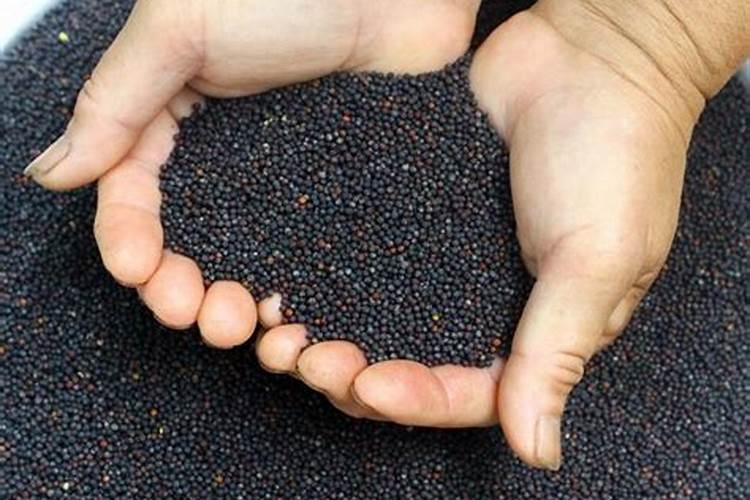 柚子叶面肥施肥方法？柚子保花保果专用叶面肥？