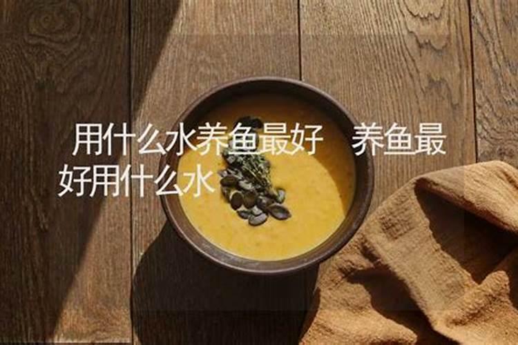 鲤鱼草鱼用什么水养好