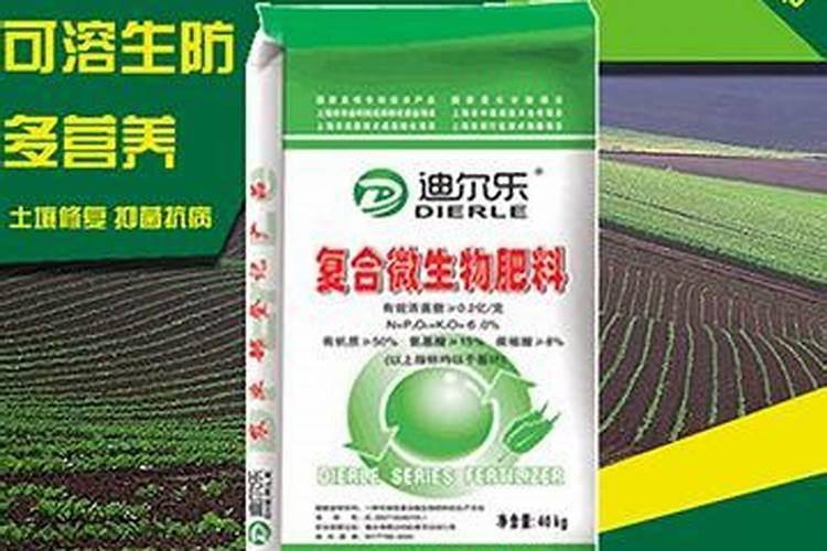金桔树施什么肥料最好