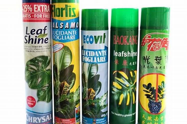 植物叶子油亮用什么肥(叶子油光发亮)