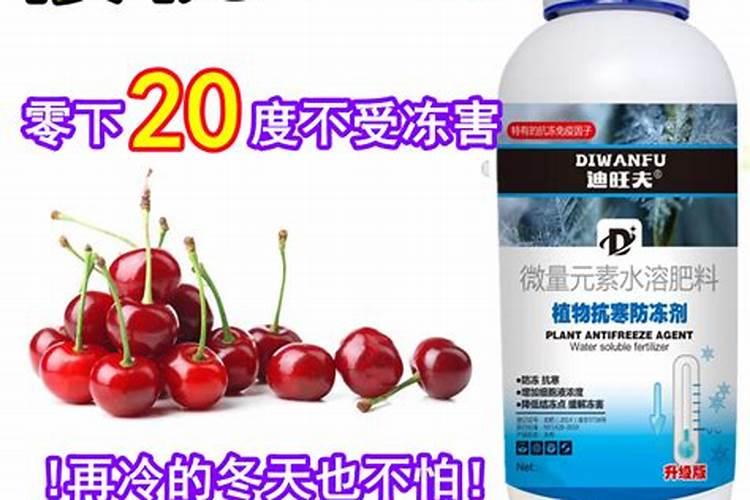 南方樱桃花期能不能喷磷酸二氢钾、糖醇钙和流体硼？
