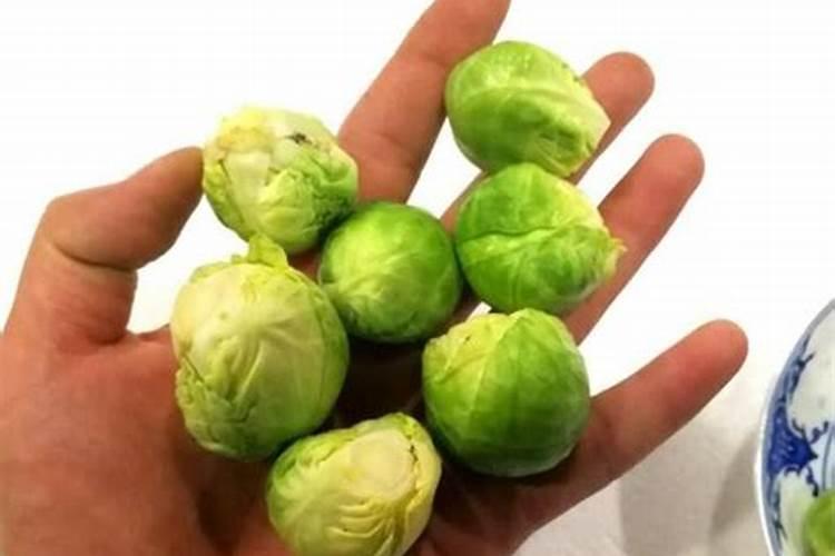 包菜快速包心的方法 包菜快速包心的方式