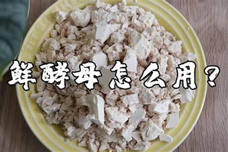 家庭怎样自制 酵母