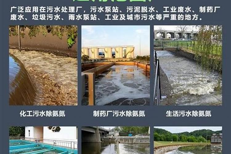 怎样快速降解水中的氨氮