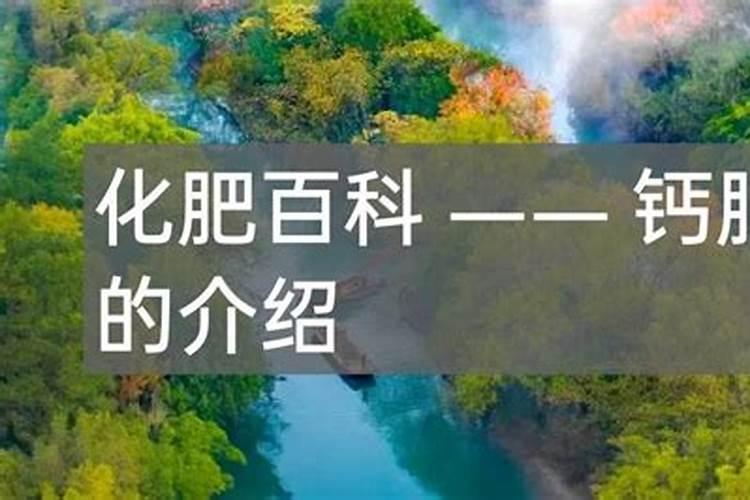 钾肥有哪些种类 钾肥的功效和使用方法