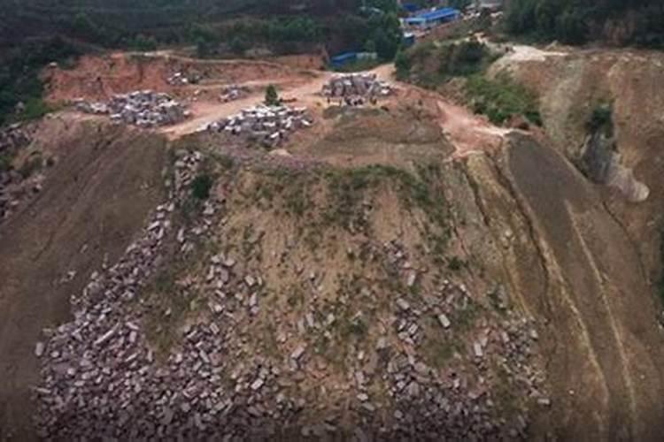 红薯在哪个季节成熟上市,怎么感觉一年四季都有卖？