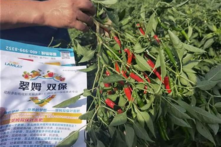 花多多1号什么时候用最好