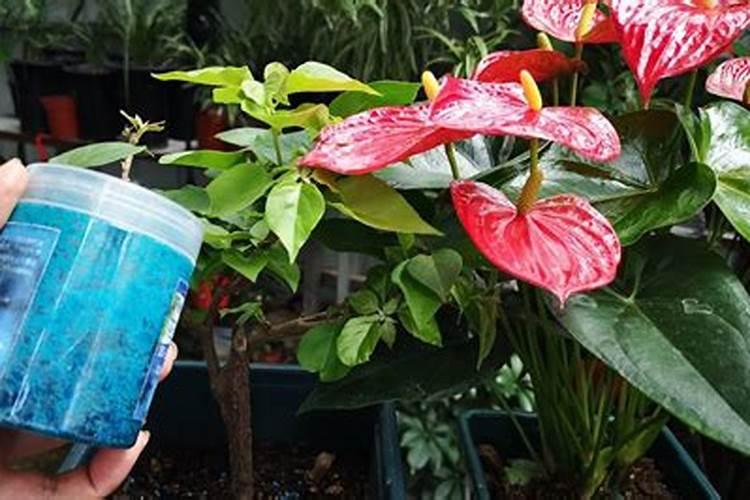 田美乐生物科技有限公司怎么样？