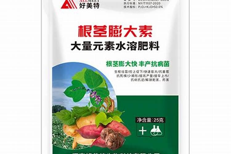 桃子什么时候是膨大期