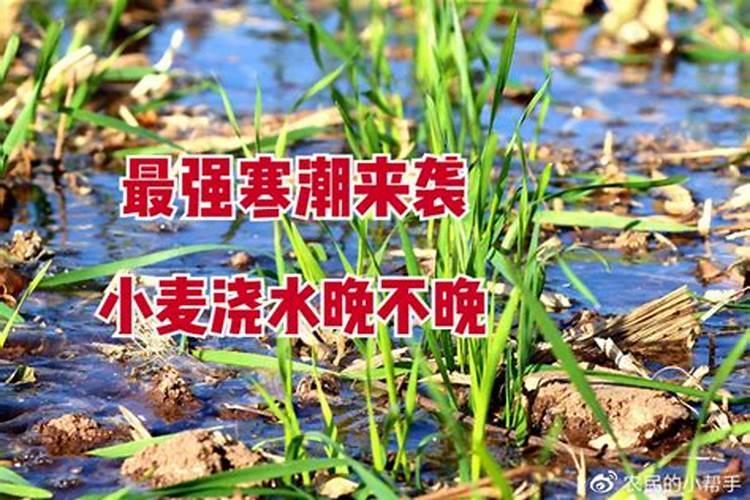 果树防霜冻妙招 四大妙招送给你