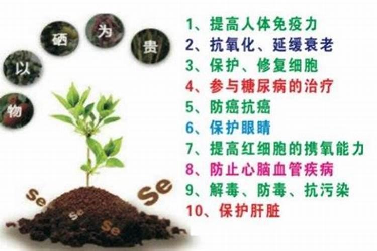 富硒肥有什么作用呀？哪里有x销售的？